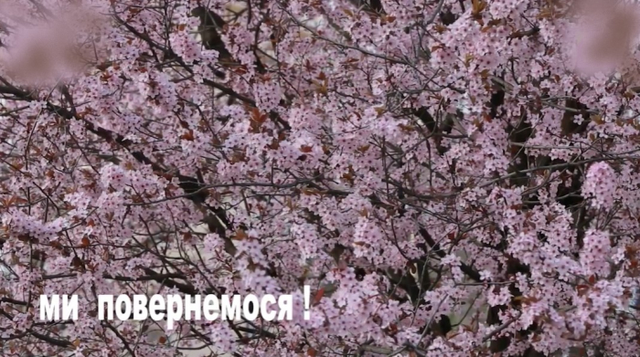 ВІДЕО ДНЯ: Ми повернемося! З’явилося відео Ужгорода до та після карантину
