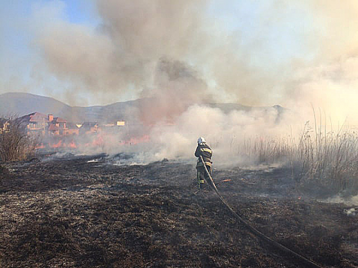 20 пожеж в екосистемах за добу ліквідували закарпатські рятувальники