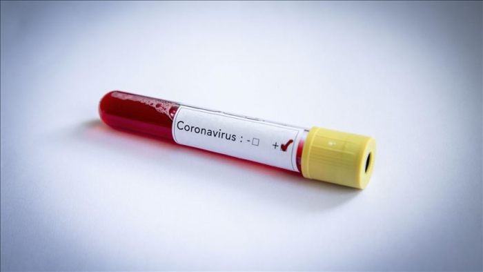 У штатного працівника Закарпатської ОДА – коронавірус