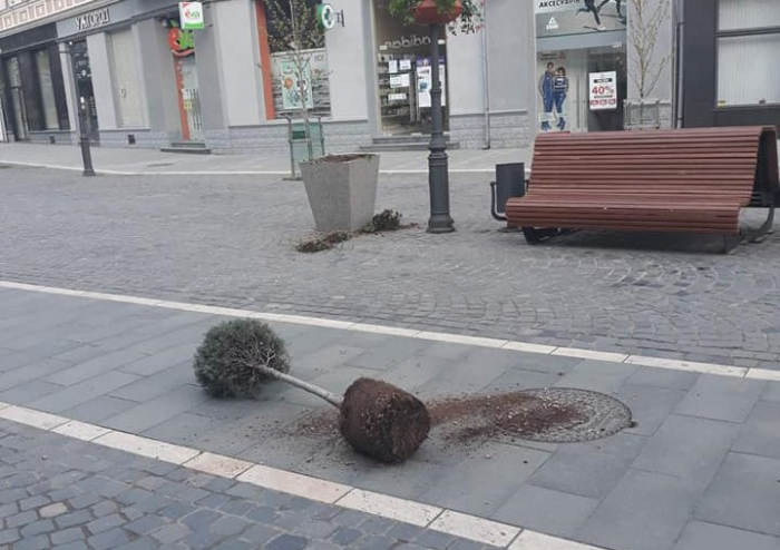 В Ужгороді чоловік пошкодив квітники на пл. Шандора Петефі та гірлянду на пішохідному мості