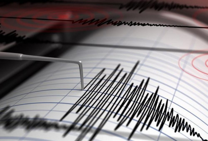 Землетрус в Закарпатті: люди розповіли, що відчували в момент поштовхів