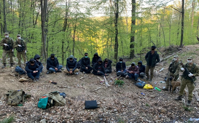 Нелегали не чули про карантин: в лісі біля Ужгорода затримано 12 афганців