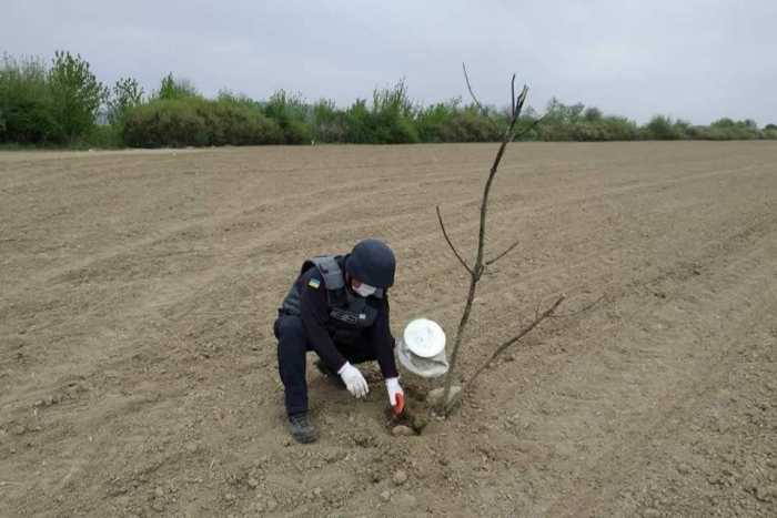 Небезпечні посіви: на Ужгородщині чоловік на городі викопав артилерійський снаряд