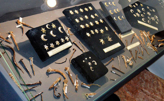 Каблучки, шаблі та монети: в Ужгородському замку показали знахідки студентської археологічної експедиції (Фото)