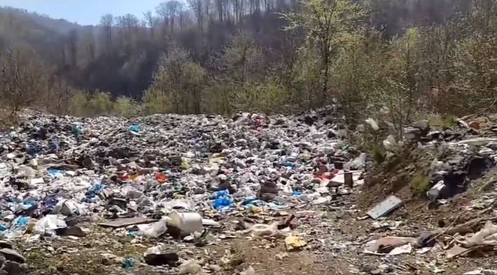 Навчальні відео про сміття та екологію створює закарпатський екоактивіст