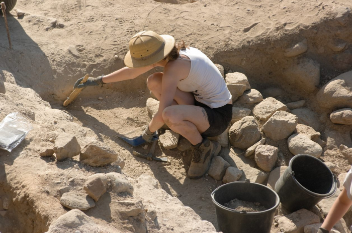 Виноградівщина: археологи показали золото, яке знайшли в городищі даків