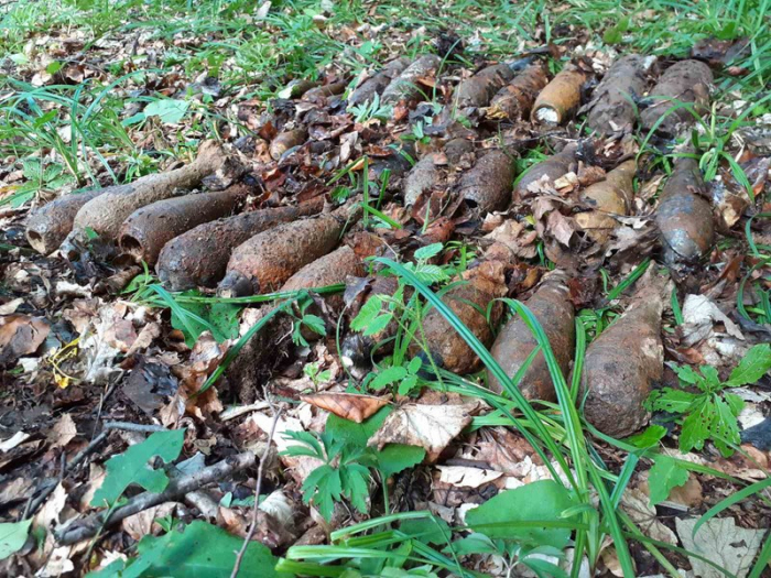 Боєприпас замість гриба: на Ужгородщині "тихе полювання" завершилось викликом піротехніків