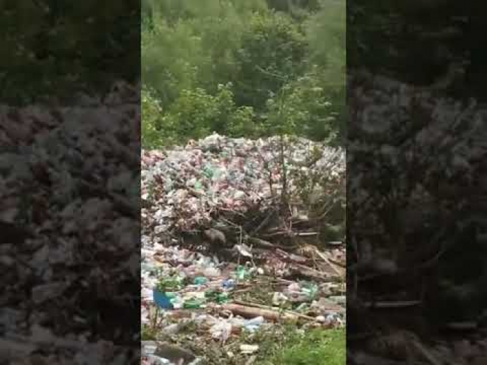 На Закарпатті паводок зніс все сміття у низинні райони 