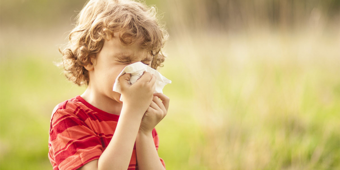 Як боротися з сезонною алергією? Поради від закарпатського алерголога (ВІДЕО)