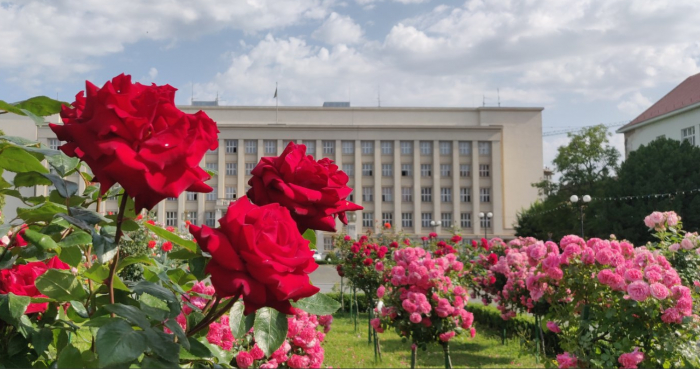 Нова туристична атракція в Ужгороді – трояндовий оазис на площі Народній ФОТО