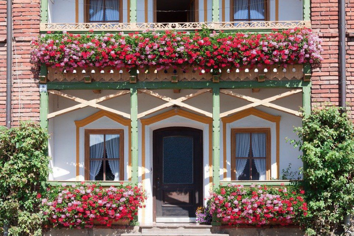 Беріть на замітку: що можна зробити, щоб рослини на балконі пишно і довго квітнули?
