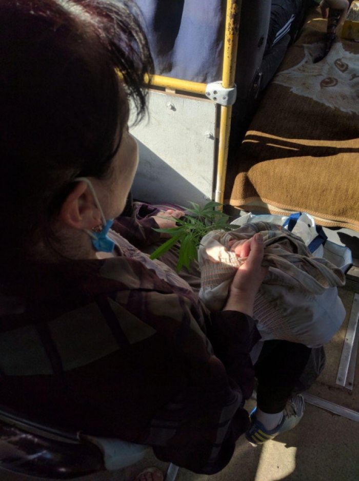 В Ужгороді затримали жінку, що перевозила наркотичну рослину в маршрутці