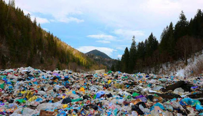 Міжнародний скандал: У Києві обговорювали, як вирішити сміттєву проблему на Закарпатті