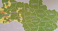 Стало відомо, в якій зоні Закарпаття згідно з поділом МОЗ
