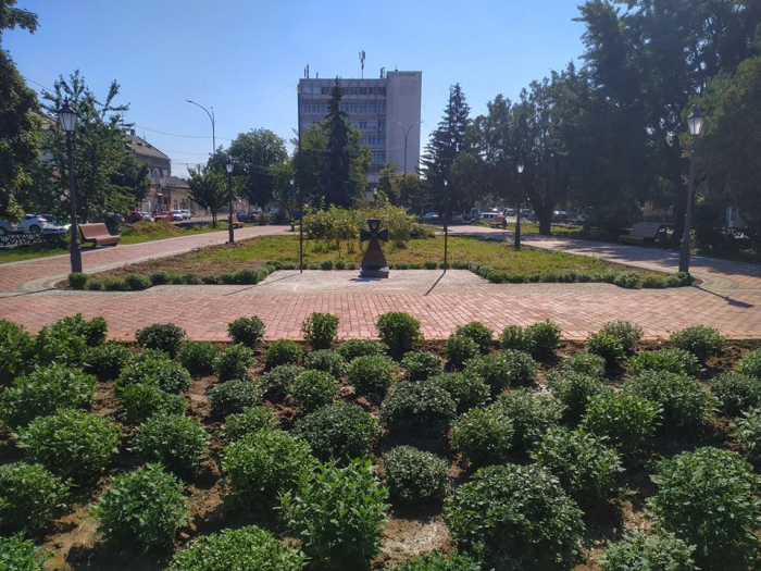 Майже три сотні кущів хризантем висадили у сквері на площі Шандора Петефі в Ужгороді (ФОТО)