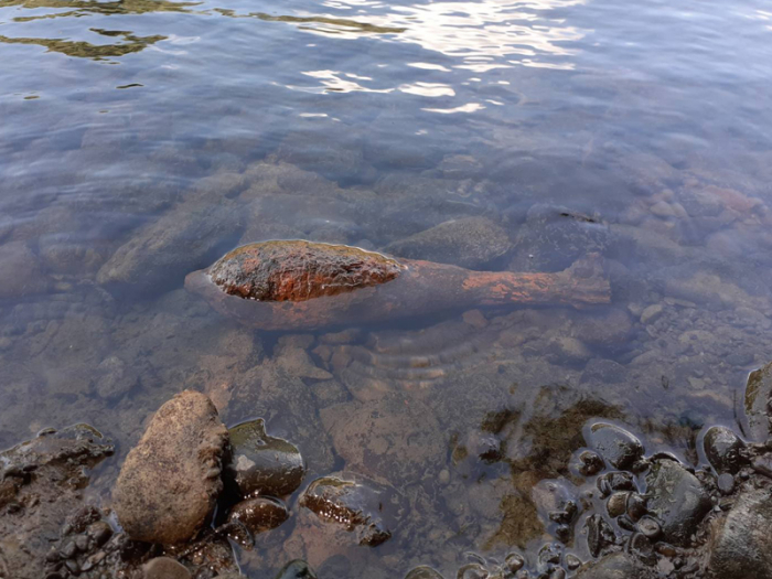 Ужгородський рибалка знайшов мінометну міну на дні річки