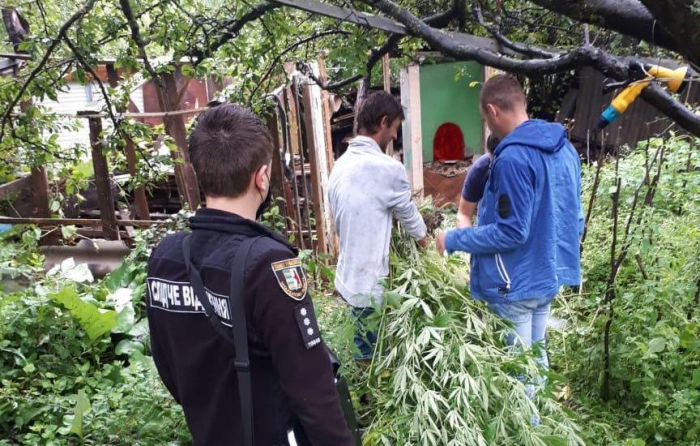 На Ужгородщині поліцейські затримали наркоаграрія