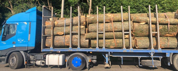 Незаконне вивезення деревини: на Закарпатті зупинили водія фури
