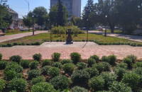 Майже три сотні кущів хризантем висадили у сквері на площі Шандора Петефі в Ужгороді (ФОТО)