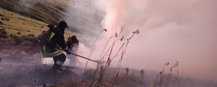 На Закарпатті горіла суха трава – вогнем знищено 4 гектари сухостою
