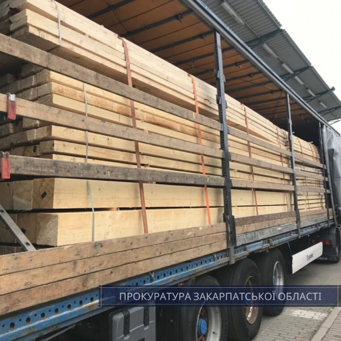 Закарпатку судитимуть за контрабанду деревини до ЄС