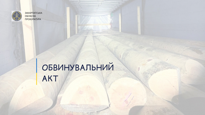 Налагодив схему контрабандних поставок деревини: на Закарпатті судитимуть грека
