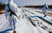 Закарпатські прикордонники допомогли іноземці, яка заблукала, потрапити додому