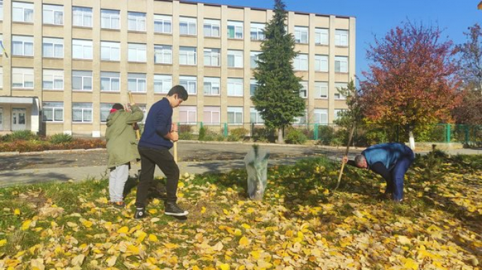 Близько 400 дерев висадили в Ужгороді у рамках акції "Озеленення планети"