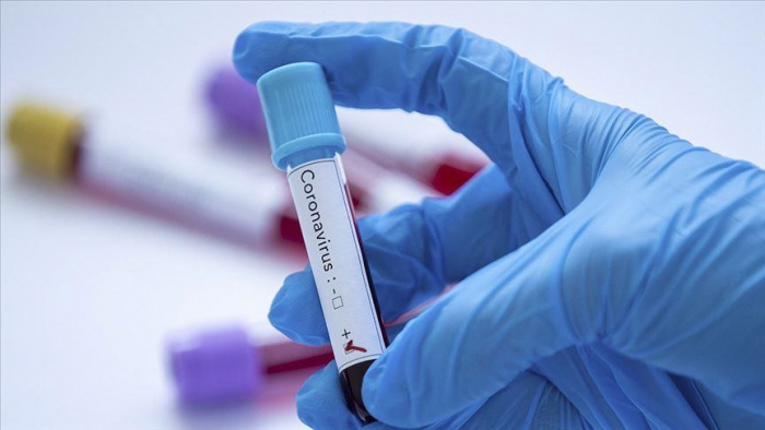 Коронавірус в Ужгороді: діагностовано 12 нових випадків