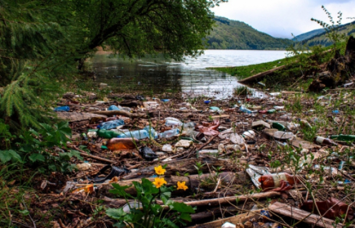 Немає смітника – кидають непотріб у річку: Закарпаття знову у центрі екологічного скандалу