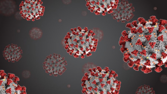 В Ужгороді за минулу добу – 12 нових випадків коронавірусної інфекції