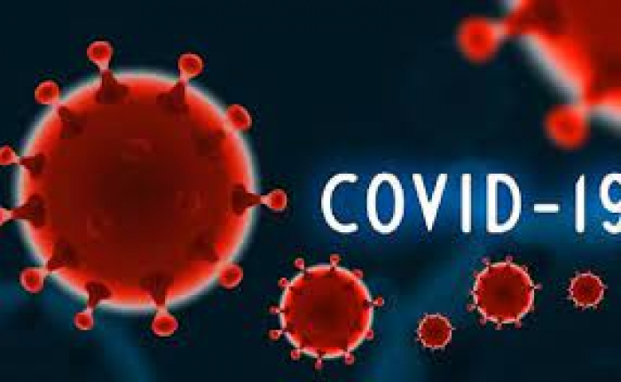 На Закарпатті за добу виявили 277 випадків COVID-19