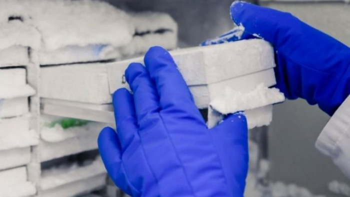 200 тисяч доз Pfizer можуть зберігати у спеціальних морозильних камерах на Закарпатті