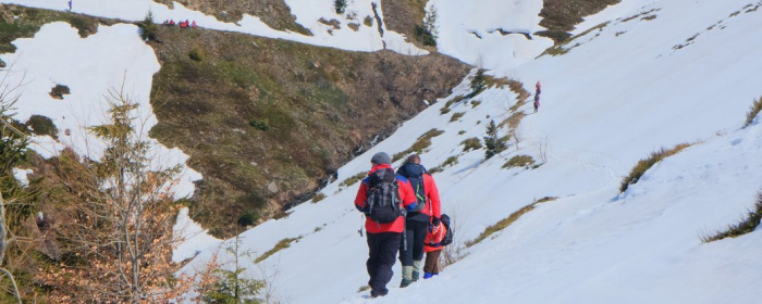 Трьох людей шукають рятувальники у горах Закарпаття