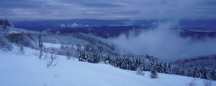 Сніголавинна небезпека на Закарпатті: рятувальники просять утриматися від походів у гори
