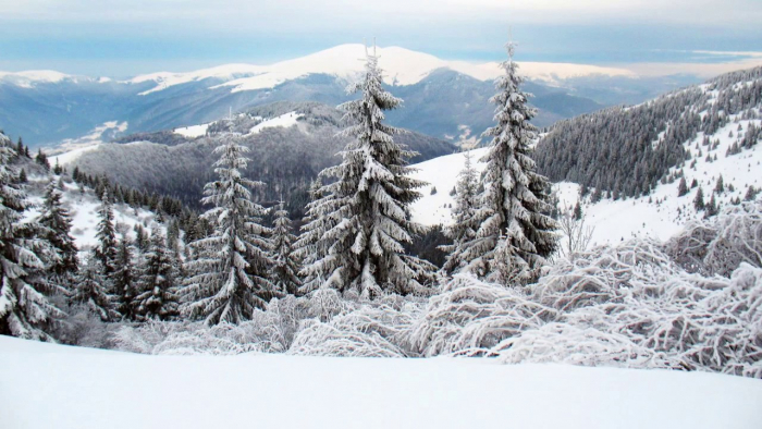 Сніголавинна небезпека у Карпатах: туристам рекомендують утриматися від походів у гори