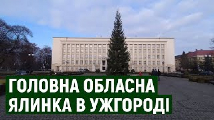 На площі Народній в Ужгороді встановили 20-метрову ялинку