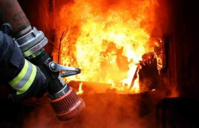 Пожежа на фермі в Мукачеві: згоріло 165 свиней