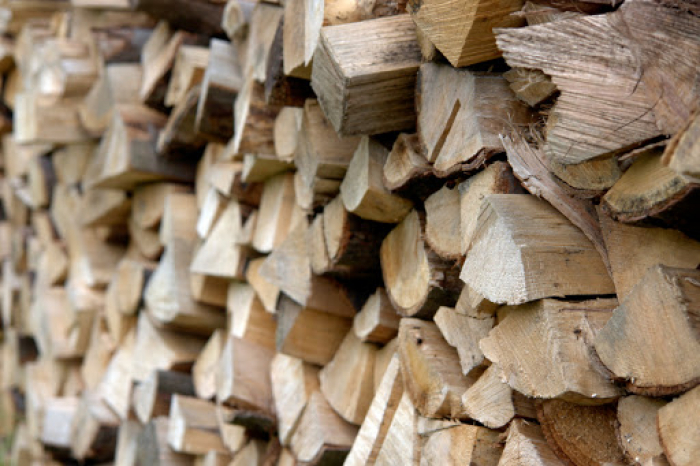 Берегівський лісгосп закликає місцеві органи влади опалювати бюджетні установи не газом, а дровами