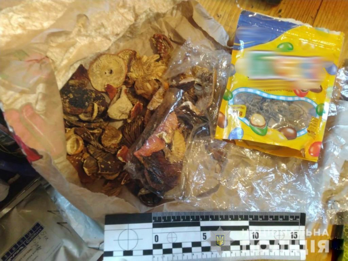 На Закарпатті поліція затримала пару наркодиллерів, що торгувала галюциногенними грибами