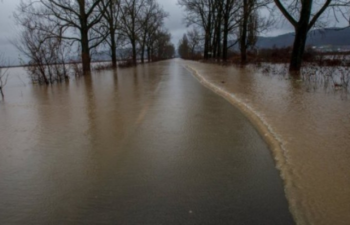 Можливі підтоплення: рівень води на річках Закарпаття підвищиться більше ніж на три метри