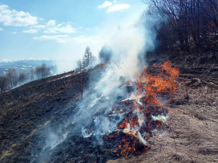 Закарпатські рятувальники виїжджали на 32 випадки підпалу сухої трави за добу