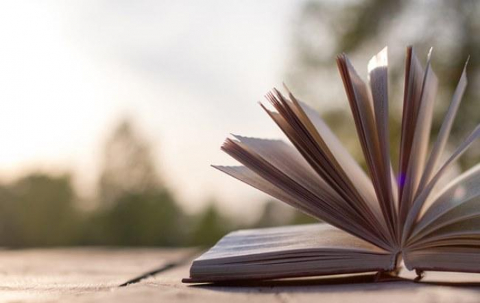 На Закарпатті до Дня Незалежності підготують 8 книг, які проілюструють роботу області за 30 років