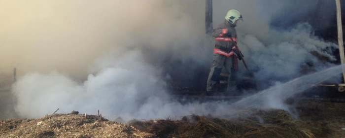 На Закарпатті гасили пожежі на чотирьох приватних господарствах