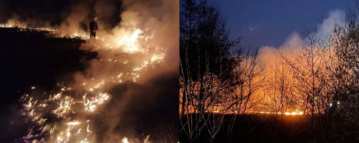 За добу на Закарпатті зафіксували 33 підпали сухої трави
