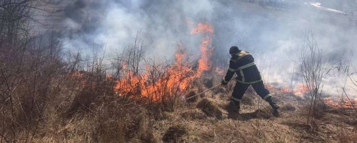 За спалювання трави двоє закарпатців заплатять штраф у понад 6 тисяч
