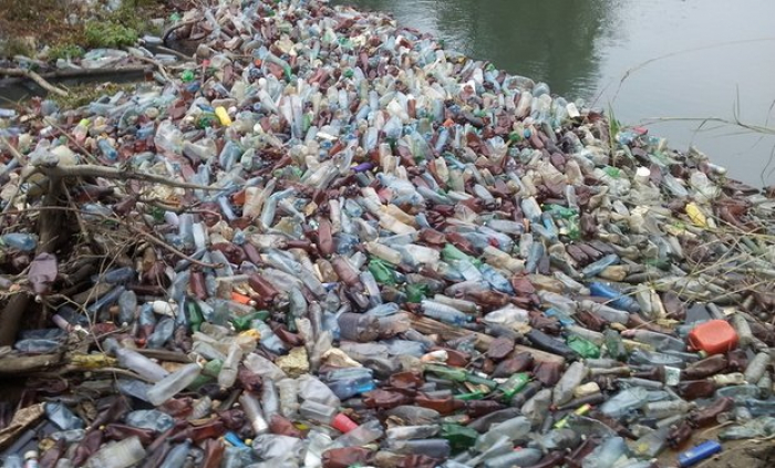 Острови зі сміття: на Закарпатті, в річці Боржава, виявили 10 сміттєвих заторів