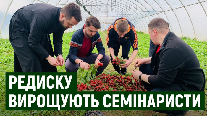 Ужгородські семінаристи збирають урожай редиски (ВІДЕО)