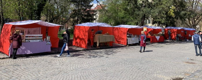 В Ужгороді стартували "Дні Сакури" (ФОТО)