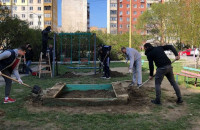 Прибудинкові території прибирали мешканці будинків в Ужгороді